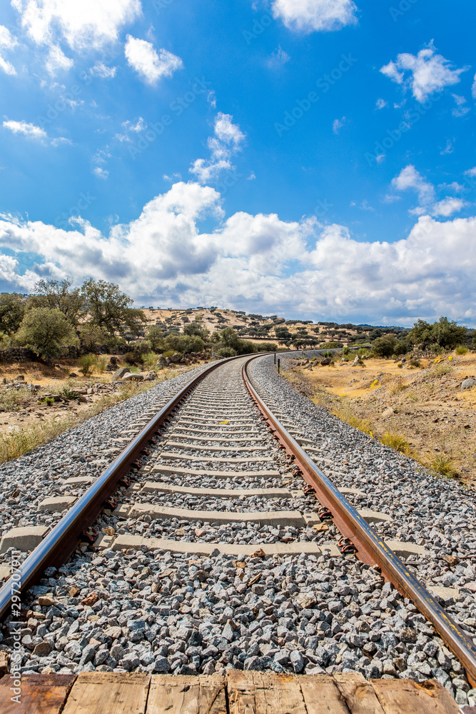 Railway train tracks in the sunny landscape