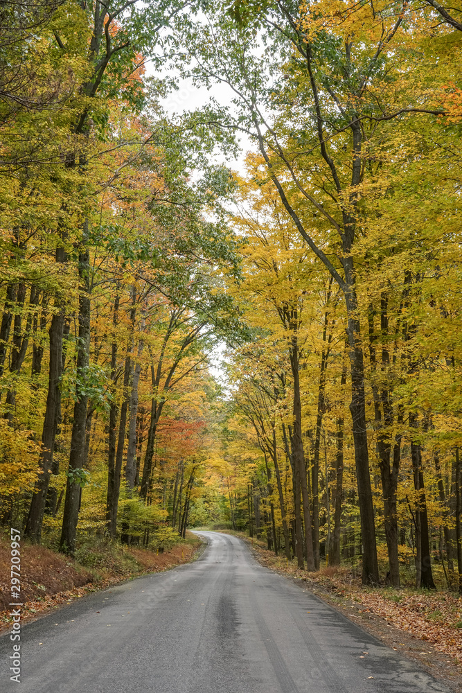Drive through the backroads of Western Pennsylvania during the peak of fall foliage.