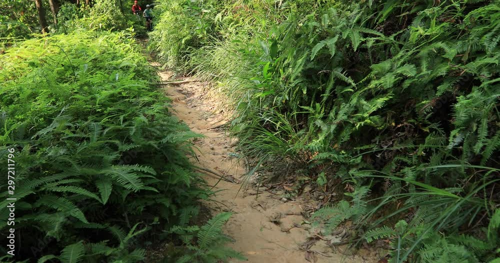 Two female cyclists cross country biking in tropical rainforest slow motion Two female cyclists cross country biking in tropical rainforest slow motion