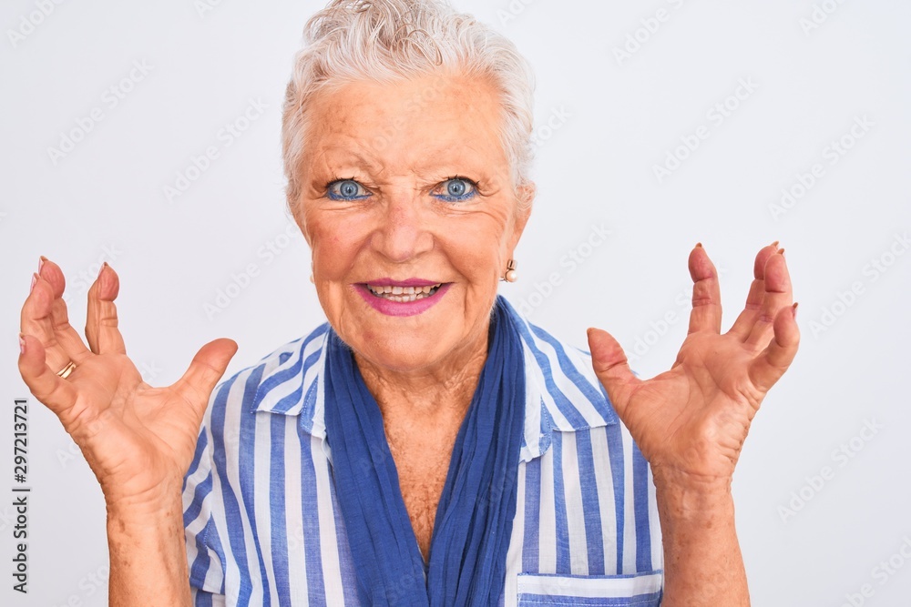 Senior grey-haired woman wearing blue striped shirt standing over isolated white background very happy and excited, winner expression celebrating victory screaming with big smile and raised hands Senior grey-haired woman wearing blue striped shirt standing over isolated white background very happy and excited, winner expression celebrating victory screaming with big smile and raised hands