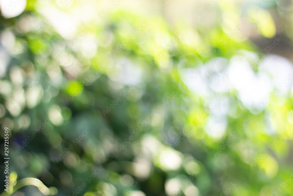 Fototapeta premium abstract background with green leaves