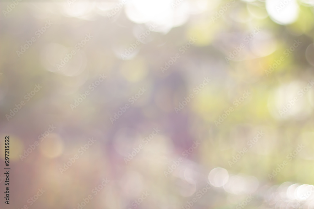 Obraz premium green blurred backdrop of nature, circle light wallpaper, white bokeh background