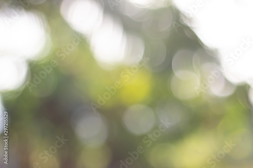 abstract green background with bokeh