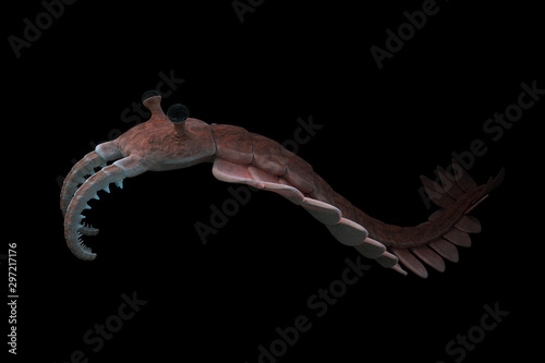 Anomalocaris, creature of the Cambrian period, isolated on black background photo
