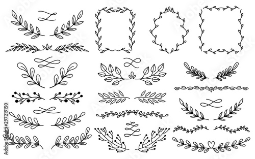 Plant nature dividers hand drawn set. Collection botanical element.Elegante vintage style.