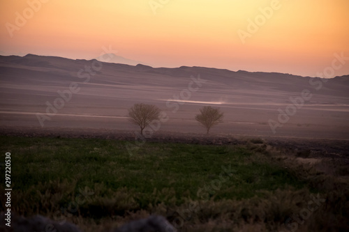 Sunset landscape view of silhouette mountains and lonely trees in Azerbaijan. Sheki © zef art