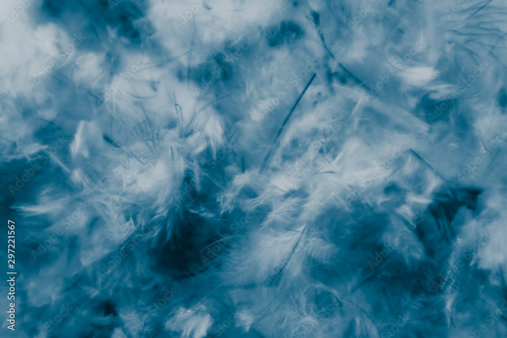 Beautiful abstract pink and purple feathers on darkness background and colorful soft white blue feather texture pattern Beautiful abstract pink and purple feathers on darkness background and colorful soft white blue feather texture pattern