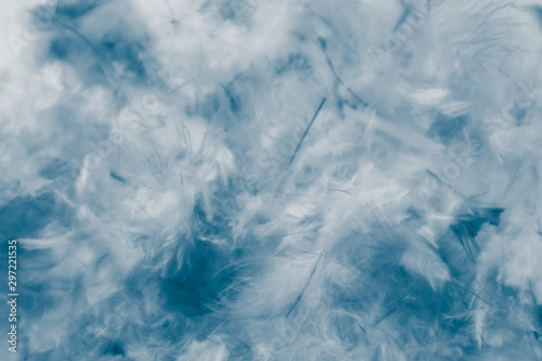 Beautiful abstract pink and purple feathers on darkness background and colorful soft white blue feather texture pattern