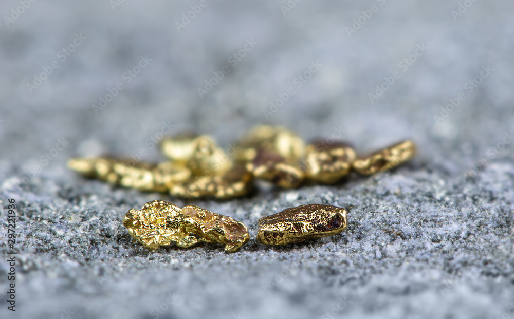 Macro shot of natural gold nuggets. Concept: natural gold Macro shot of natural gold nuggets. Concept: natural gold