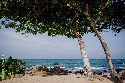 Fototapeta Naklejka Na Ścianę i Meble -  tropical beach with palm trees