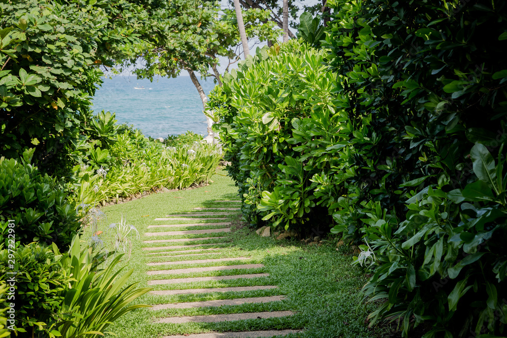 Naklejka premium path in the forest over sea