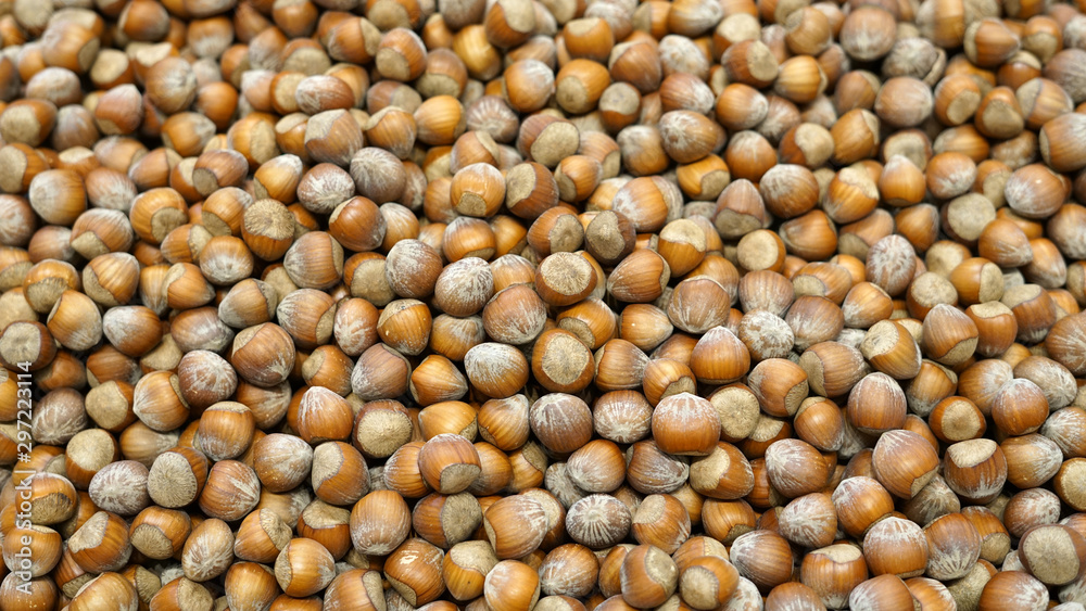 Fresh hazelnut in harvest season as food background Fresh hazelnut in harvest season as food background
