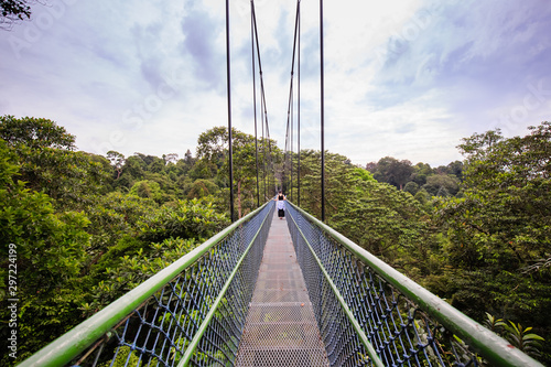 Photography people Walking over the forest through a tree top walk in Singapore