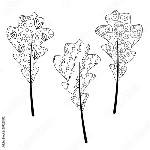 Zentangle autumn leaf for adult antistress coloring book on a white background. Zen art vector illustration