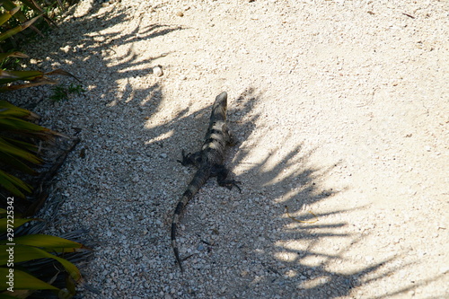 Zona Arqueol  gica de Tulum