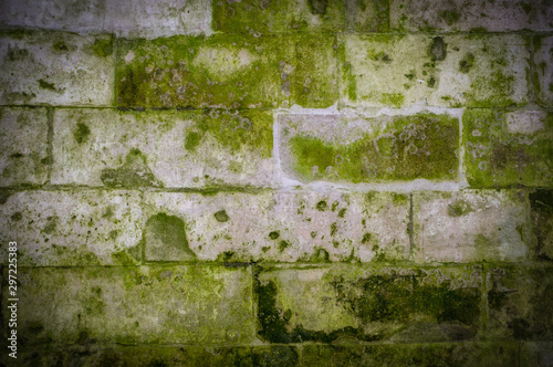 old stone brick wall with green mold and moss texture with vignette. background, architecture.