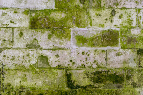 old stone brick wall with green mold and moss texture. background, architecture.