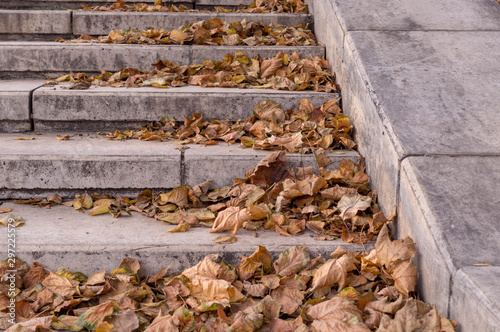 yellow autumn leaves on stone stairs of city park. background, seasonal.