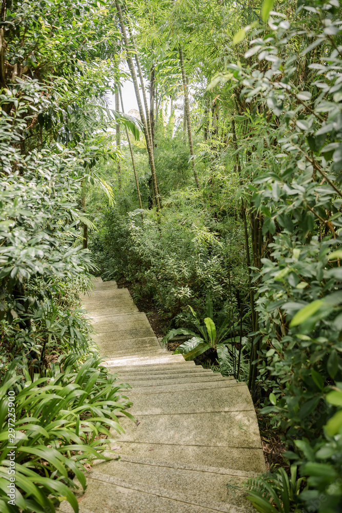 path in the garden path in the garden