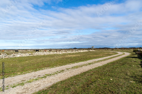 Winding country road in a wide open plain grassland