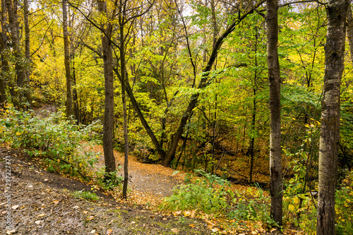 Mill creek ravine park in fall with yellow leaves on trees