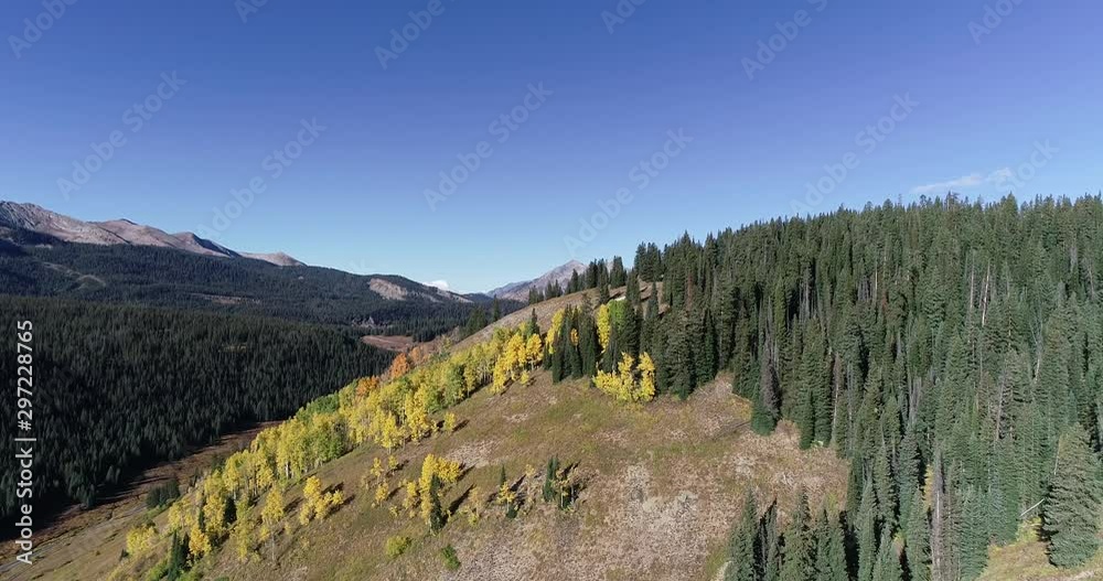 A valley tree line with aspens and mountains covered in dark timber. A valley tree line with aspens and mountains covered in dark timber.