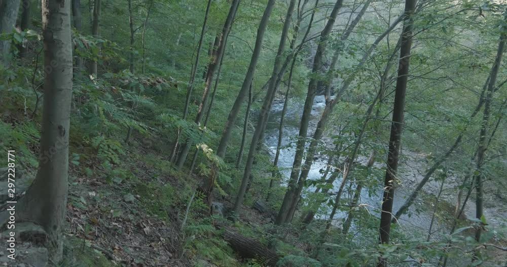 High view of the Wissahickon Creek, Philadelphia High view of the Wissahickon Creek, Philadelphia
