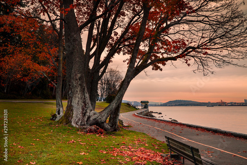 Autumn colors along Vancouver seawall