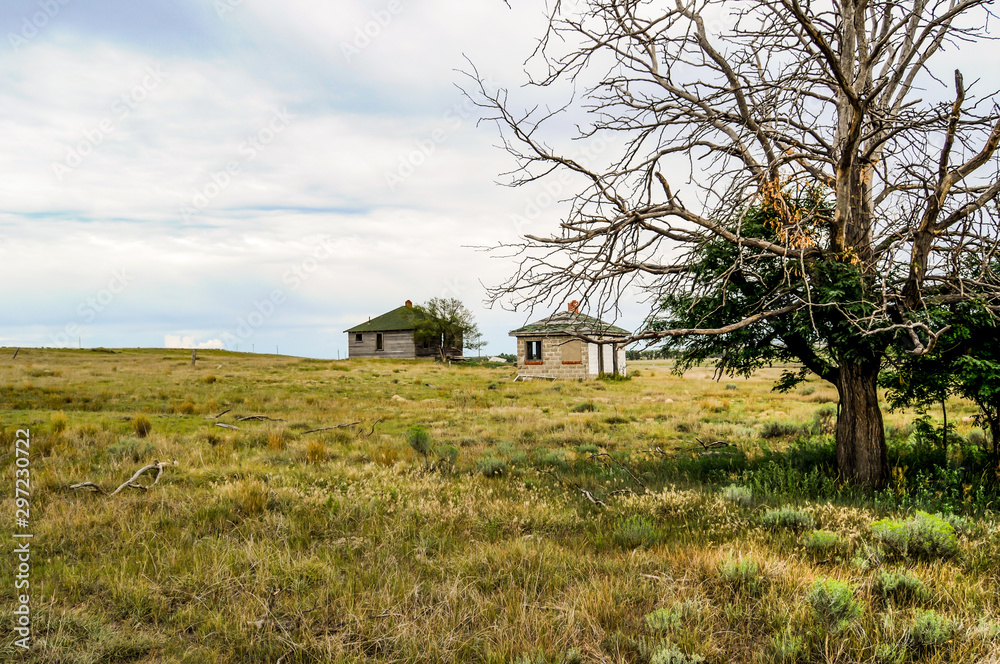 Old haunted house with scary tree and yard. Old haunted house with scary tree and yard.