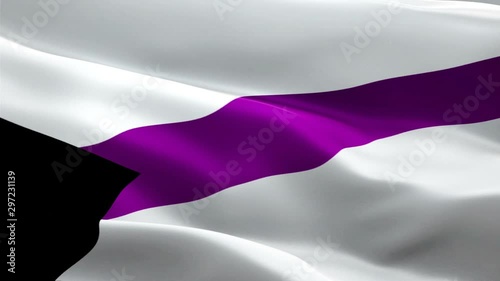 Rainbow Panromantic Pride Flag video waving in wind.  Demisexual Flag background Demisexual play,fantasies. Rainbow Pride heteroflexible Flag Looping Closeup 1080p Full HD 1920X1080 footage. Rainbow c photo