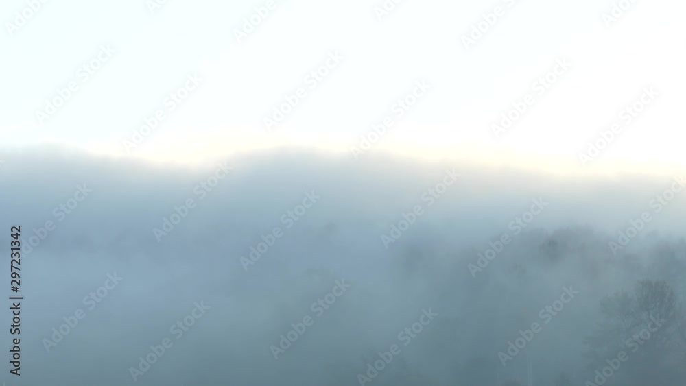 霧のかかる朝の森 霧のかかる朝の森