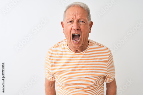 Quadro su tela Senior grey-haired man wearing striped t-shirt standing over isolated white background angry and mad screaming frustrated and furious, shouting with anger