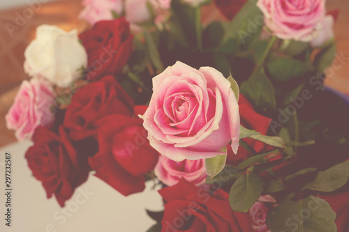 Vintage rose for love and valentine's day.