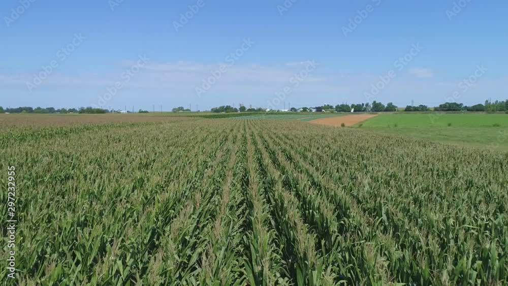 An Aerial Close Up View of Amish Farmlands and Countryside with Corn Fields on a Sunny Summer Day An Aerial Close Up View of Amish Farmlands and Countryside with Corn Fields on a Sunny Summer Day