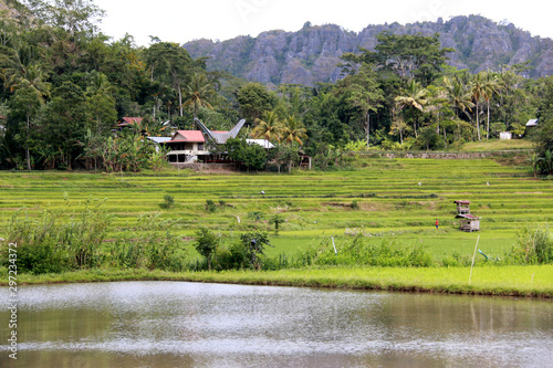 Countryside on Sulawesi: Mountain Ranges and Rice Fields in Toraja, Sulawesi, Indonesia © schusterbauer.com