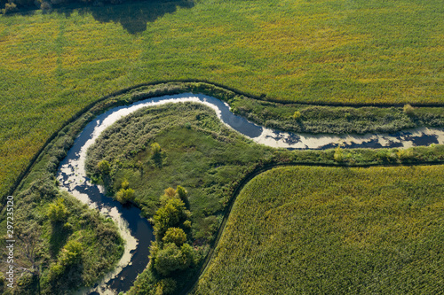 Fototapeta Naklejka Na Ścianę i Meble -  banks of a swampy river, view from above
