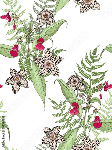 White background with balsam flowers and fern.Seamless  floral realistic