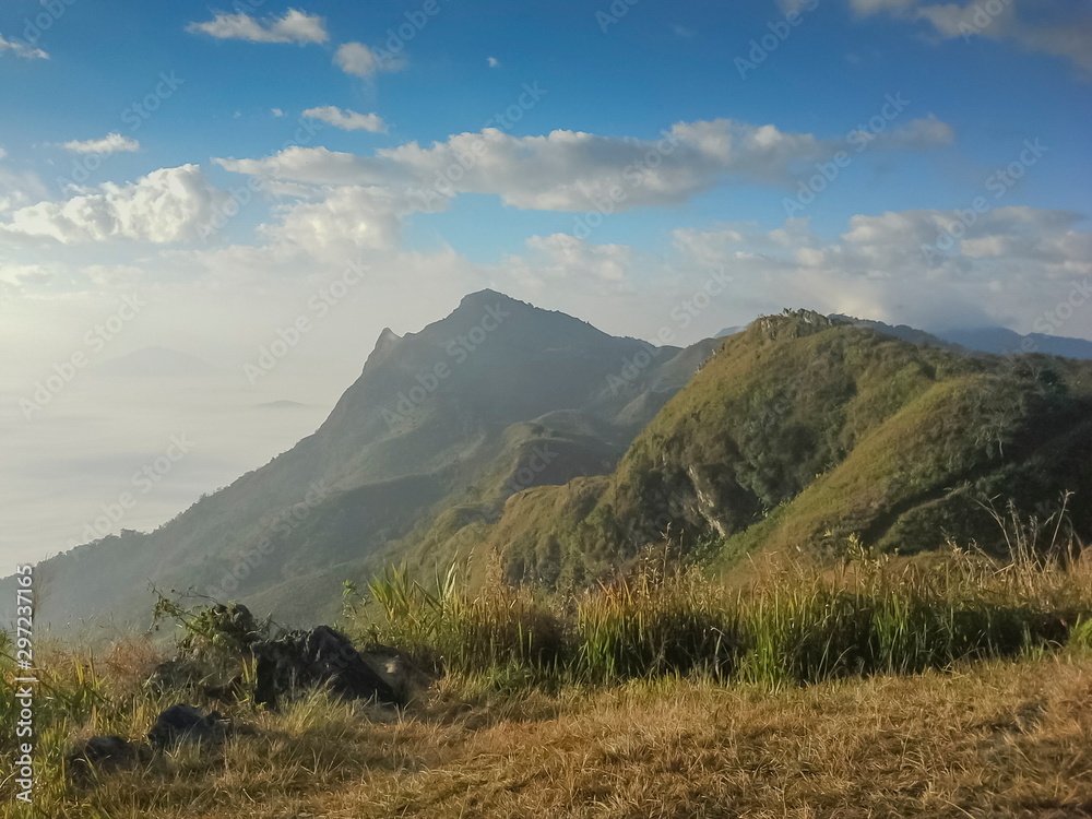 Obraz premium Mountain view morning of peak mountain around with soft fog with cloudy sky background, sunrise at Pha Tang, Chiang Rai, Thailand.