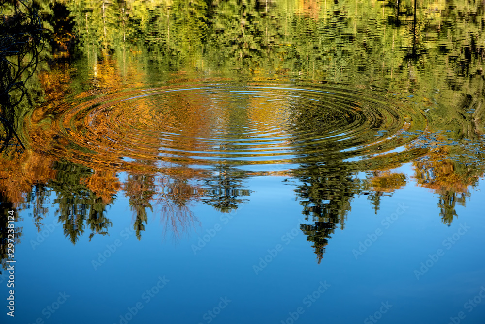 Reflection of the autumn forest in the mirror of the lake - obrazy, fototapety, plakaty 