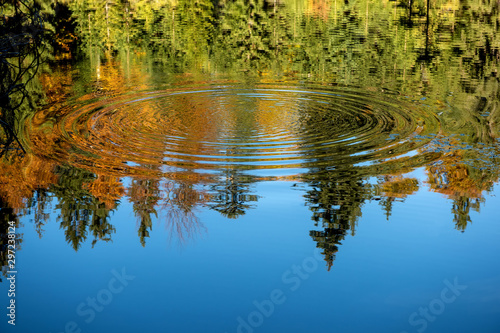 Reflection of the autumn forest in the mirror of the lake