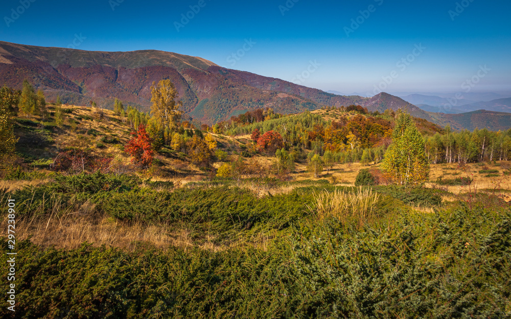 A colorful mountain valley autumn landscape view with some green grass, bushes, and trees in the foreground, a mountain ridge in the background, and clear blue sky above