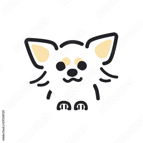犬　ポーズ　表情　アップ　チワワ