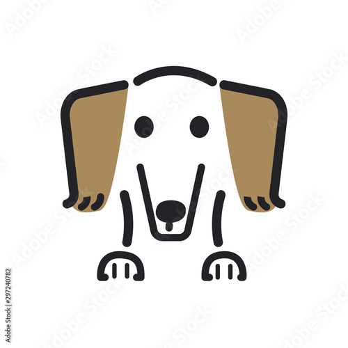 犬　ポーズ　表情　アップ　ミニチュアダックスフンド