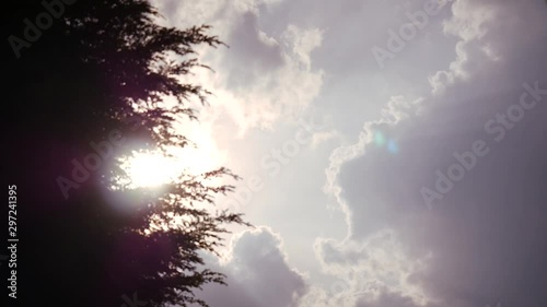 Sunbeams looking up