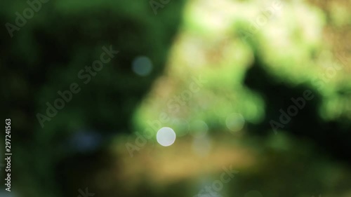 Sunbeams