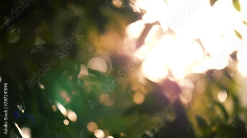 Sunbeams