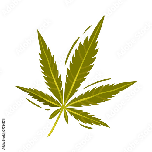 Cannabis Detailed Leaf Vector Illustrated Object Isolated On White Background