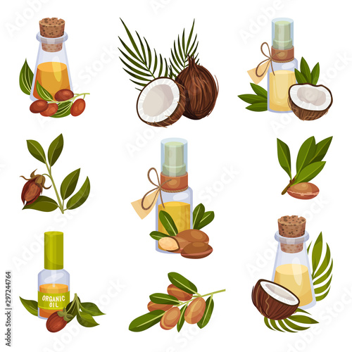 Jojoba and Coconut Organic Oil Production Vector Illustrated Set