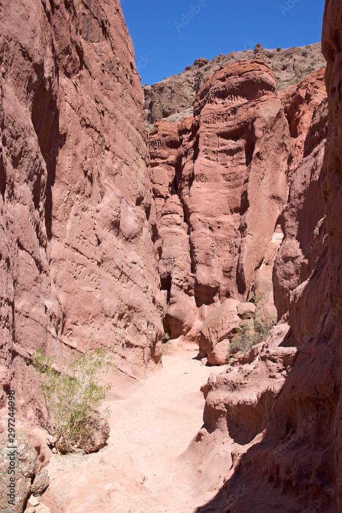 Quebrada de las Conchas in the Calchaqui Valley, Argentina