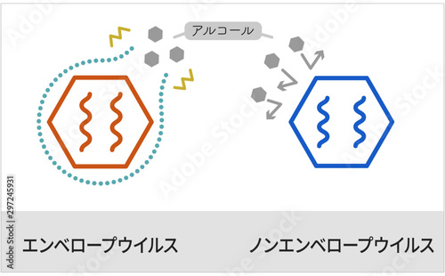 Non-enveloped & Enveloped virus